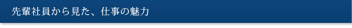 先輩社員から見た、仕事の魅力