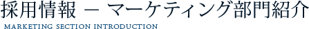 採用情報-マーケティング部門紹介